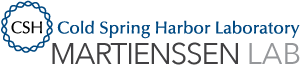 Martienssen Lab